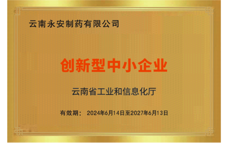 創(chuàng)新型中小企業(yè)（2024年）